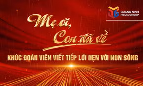 Mẹ ơi, Con đã về