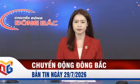 Chuyển động Đông Bắc ngày 29/7/2026