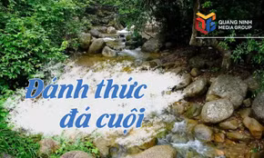 Đánh thức đá cuội