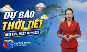 Dự báo thời tiết đêm 15, ngày 16/7/2026