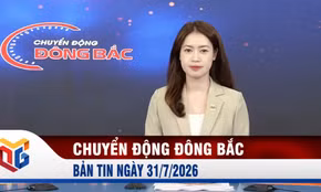 Chuyển động Đông Bắc ngày 31/7/2026