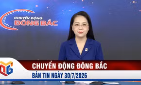 Chuyển động Đông Bắc ngày 30/7/2026