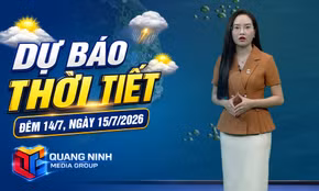 Dự báo thời tiết đêm 14/7, ngày 15/7/2026