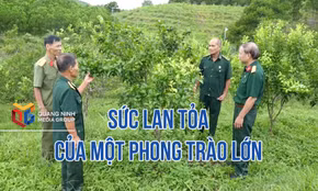 Sức lan tỏa của một phong trào lớn