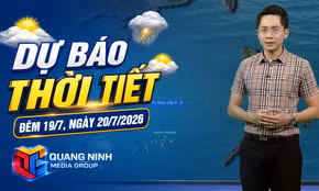 Dự báo thời tiết đêm 19, ngày 20/7/2026