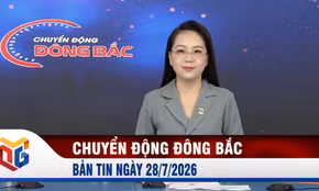 Chuyển động Đông Bắc ngày 28/7/2026