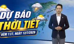 Dự báo thời tiết đêm 11, ngày 12/7/2026