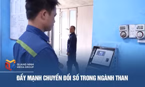 Đẩy mạnh chuyển đổi số trong ngành Than