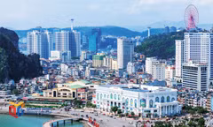 Khai sinh thành phố Quảng Ninh
