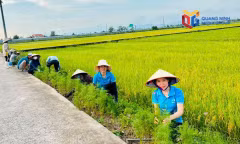 Tạo chuyển biến ngay từ cơ sở.