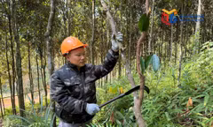 Nhân rộng điển hình tiên tiến vùng dân tộc thiểu số