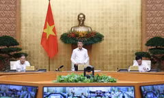 Thủ tướng: Cần những giải pháp mạnh hơn nữa trong giai đoạn nước rút của năm 2026