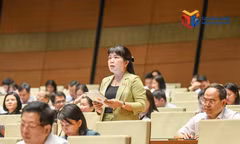 Cần minh bạch cơ chế thu hồi đất, điều chỉnh giá đất và quản lý đất công xen kẹp