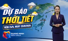 Dự báo thời tiết đêm 24, ngày 25/9/2026
