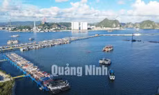 Cảng tàu khách quốc tế Hạ Long