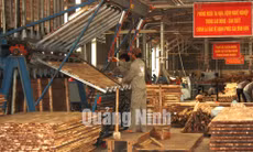 Công ty TNHH chế biến sản xuất gỗ Thanh Lâm (xã Đầm Hà)