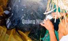 Canh cá mòi chua Vĩnh Thực