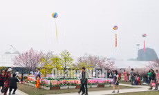 Lễ hội hoa Anh đào – Mai vàng Yên Tử năm 2013-2019