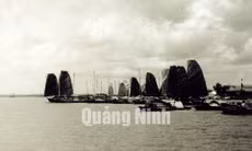 Ảnh tư liệu TX Quảng Yên