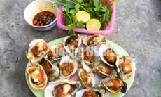 Đậm đà hàu cửa sông nướng