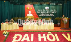 Đại hội đại biểu Đảng bộ Tổng Công ty Đông Bắc lần thứ V, tháng 7-2015