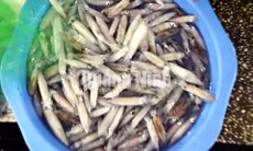 Đậm, ngọt mực ống