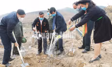 Chủ tịch UBND tỉnh Nguyễn Tường Văn phát động và tham gia trồng rừng, tháng 2-2021