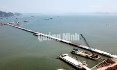 Dự án Cảng tàu khách quốc tế Hòn Gai