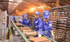 Công ty Cổ phần Viglacera Hạ Long (phường Hà Khẩu, TP Hạ Long)