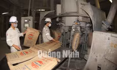 Công ty cổ phần Xi măng Thăng Long (TP Hạ Long)