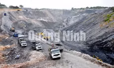 Tổng Công ty Đông Bắc