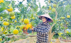 Nông thôn mới (phường Bình Khê)