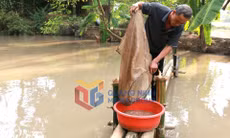 Nông thôn mới (phường Mạo Khê)