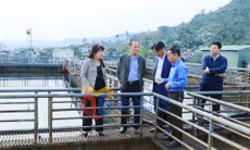 Đoàn ĐBQH tỉnh giám sát việc thực hiện chính sách pháp luật về bảo vệ môi trường, tháng 3-2025