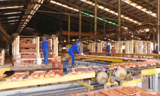 Sản xuất gạch ngói 