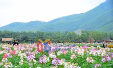 Nông thôn mới xã Quảng La