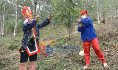 Nông thôn mới (xã Bình Liêu)