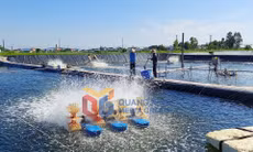 Nông thôn mới TP Móng Cái