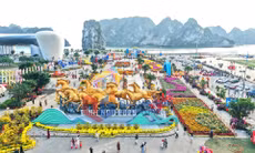 Lễ hội phường Hạ Long