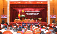Kỳ họp thứ 29, HĐND tỉnh khoá XIV, nhiệm kỳ 2021-2026, tháng 7-2025
