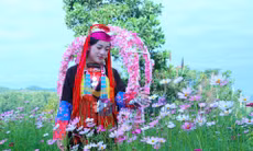 Dân tộc Dao Thanh y tỉnh Quảng Ninh