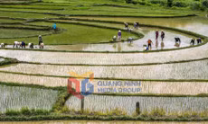 Nông thôn mới xã Ba Chẽ