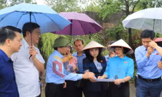 Đoàn giám sát của Quốc hội về việc thực hiện chính sách, pháp luật về quản lý thị trường bất động sản và phát triển nhà ở xã hội, tháng 7-2024