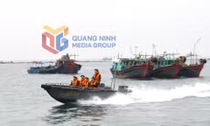 Bộ đội Biên phòng tỉnh