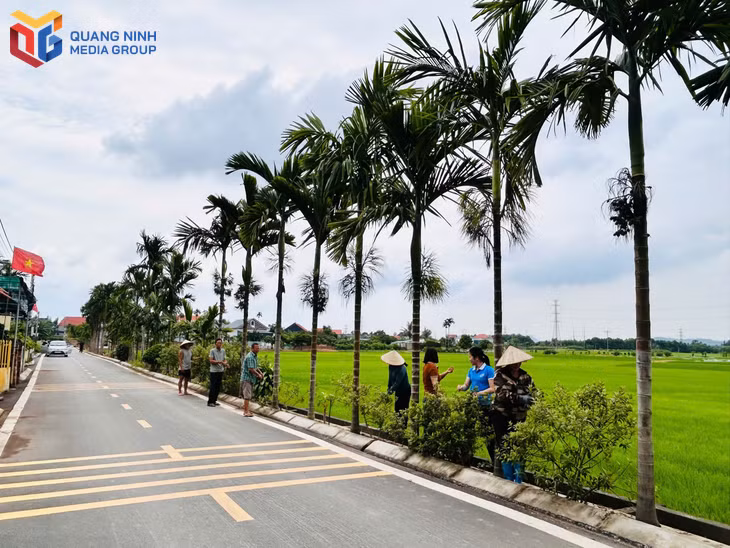 bqn_tl_phuong-binh-khe-xay-dung-cac-tuyen-duong-cau-xanh-sach-dep-tao-dien-mao-do-thi-moi-chao-mung-tinh-se-tro-thanh-thanh-pho-truc-thuoc-trung-uong.jpg