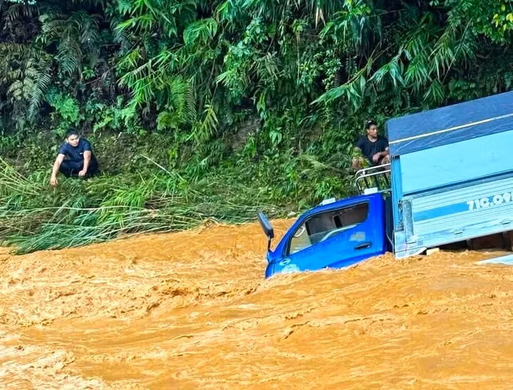 3 người trên xe tải kịp thời nhảy ra khỏi xe tải và lên bờ.