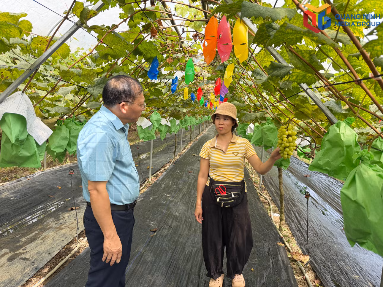 bqn_tr_img-1872.jpg