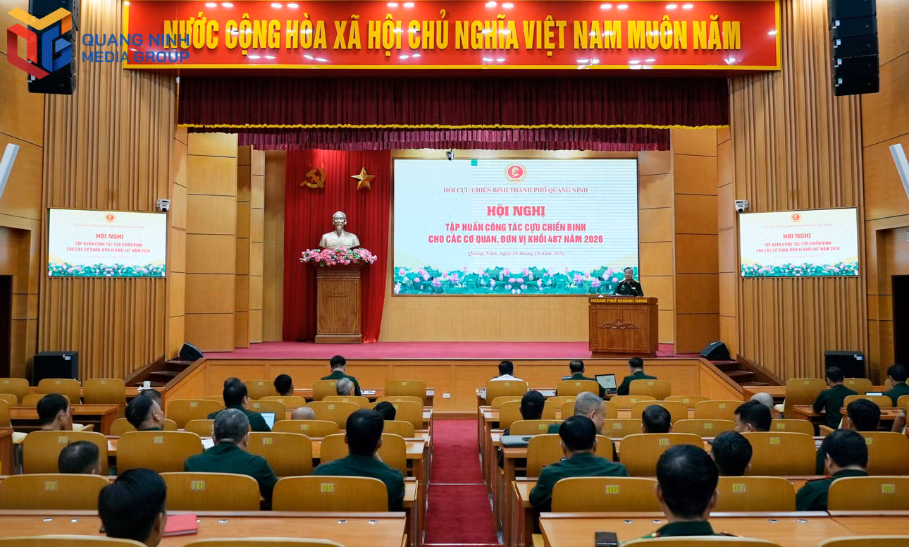 bqn_tl_dsc2064.jpg