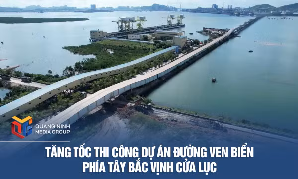 Tăng tốc thi công Dự án đường ven biển phía Tây Bắc vịnh Cửa Lục