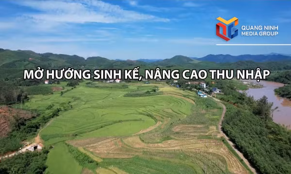 Mở hướng sinh kế, nâng cao thu nhập